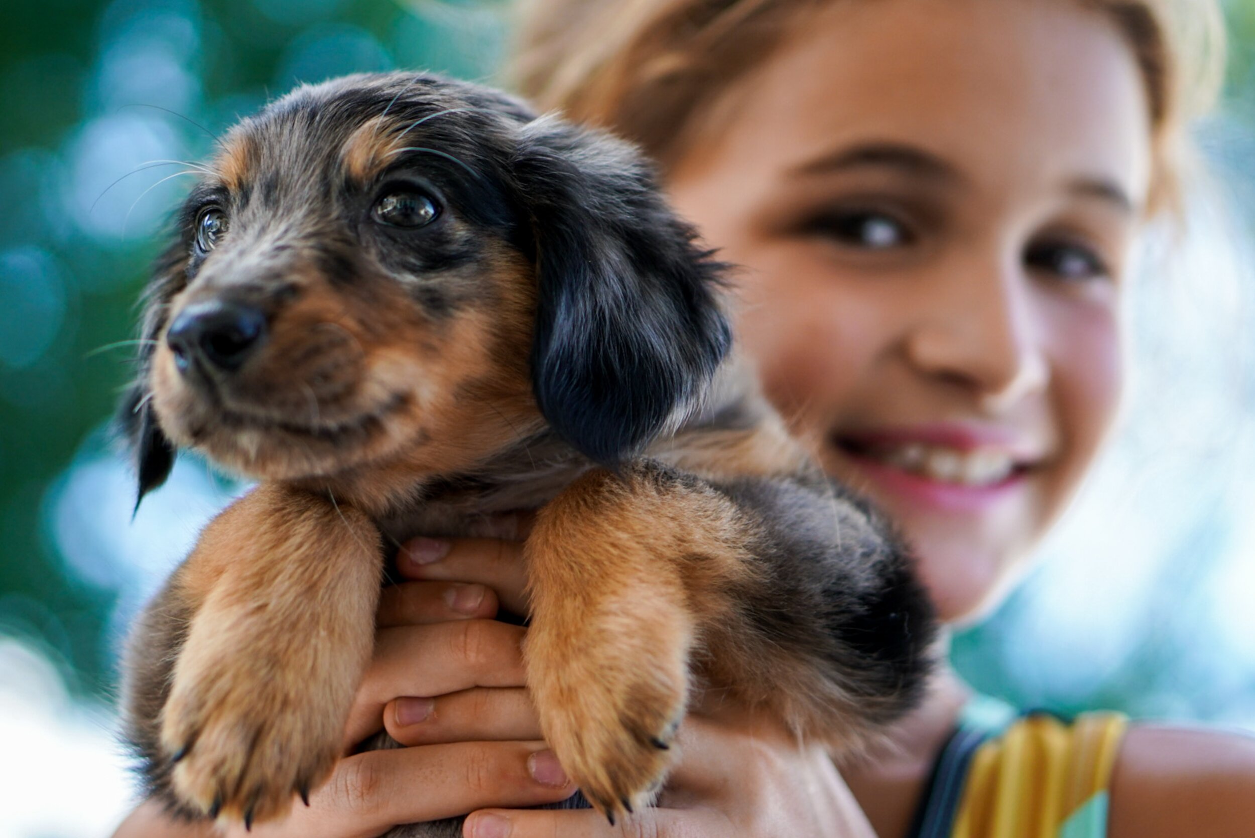 Understanding Appropriate Puppy Play